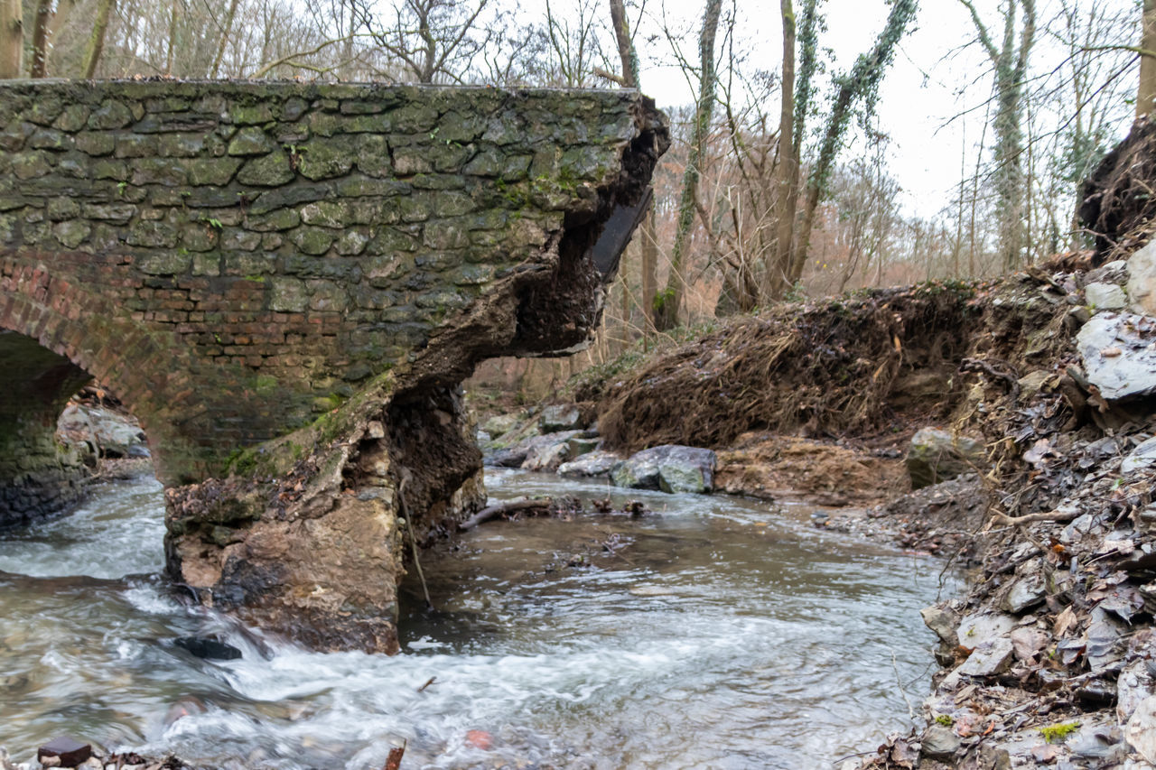 tree, nature, water, plant, stream, land, day, no people, river, rock, forest, beauty in nature, scenics - nature, bare tree, tranquility, flowing water, non-urban scene, outdoors, rapid, wilderness, environment, flowing, tree trunk, tranquil scene, trunk, growth, geology