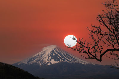 Mount fuji and sakura tree in blooming,scenery of mount fuji in the evening sky at sunset.