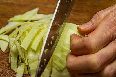 Close-up of hand holding food