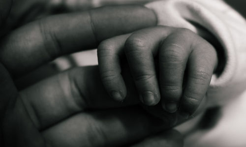 Cropped image of parent holding toddler hand