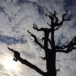 Low angle view of bare tree against cloudy sky