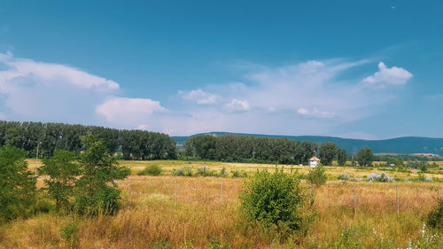 Scenic view of field against sky