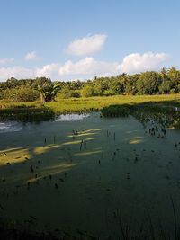 Scenic view of lake against sky