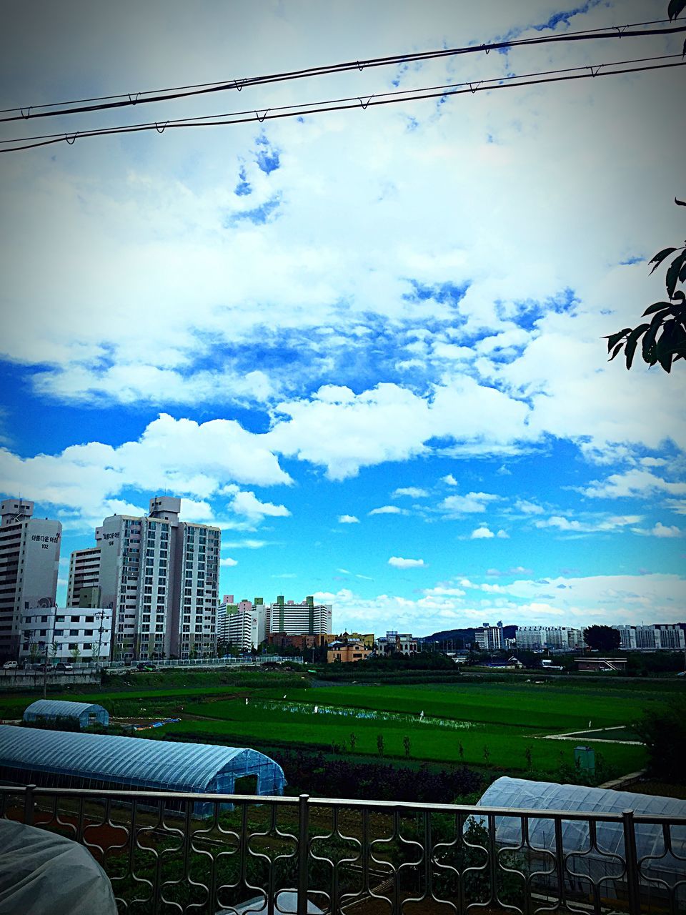 sky, building exterior, architecture, built structure, city, sunlight, cloud - sky, tree, fence, cloud, cityscape, grass, outdoors, nature, sun, day, green color, landscape, water, growth