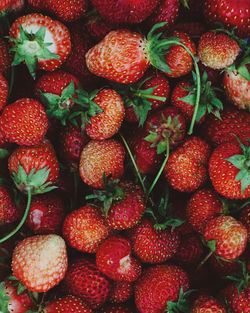 Full frame shot of strawberries