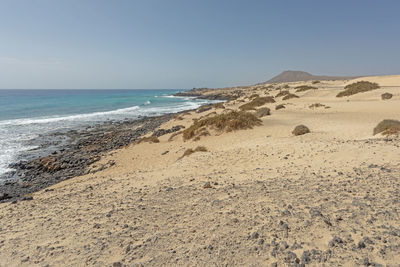 Scenic view of beach against clear sky