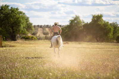 Full length of a horse on field