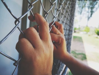 fence
