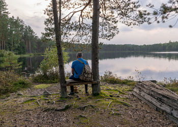 Rear view of woman sitting on bench in forest