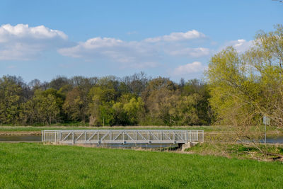 Scenic view of trees on field against sky