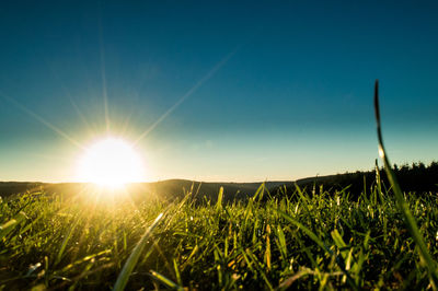 Scenic view of grassy field against clear sky