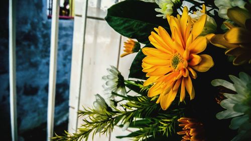 Close-up of yellow sunflower blooming indoors