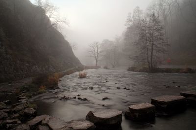 Scenic view of river in forest during winter