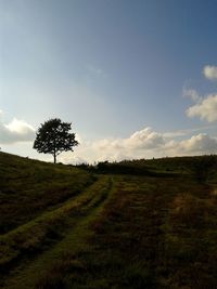 Scenic view of grassy field against sky