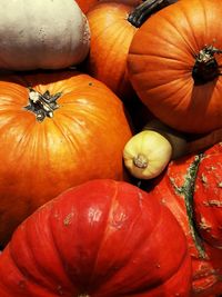 Close-up of pumpkins for sale