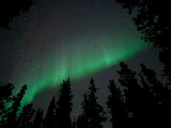 Low angle view of silhouette trees against sky at night