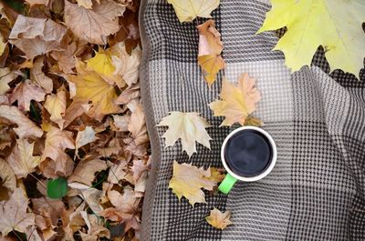 Directly above shot of coffee on textile amidst leaves