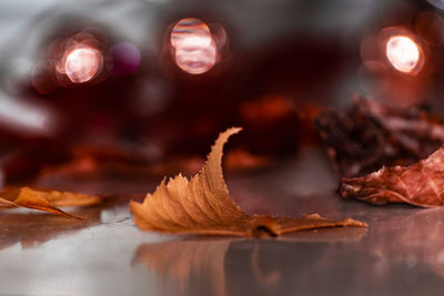 Close-up of dry leaves on table