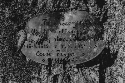 High angle view of text on old tree