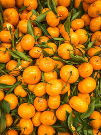 Full frame shot of orange fruits