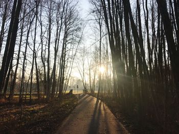 Road amidst trees against sky during sunset