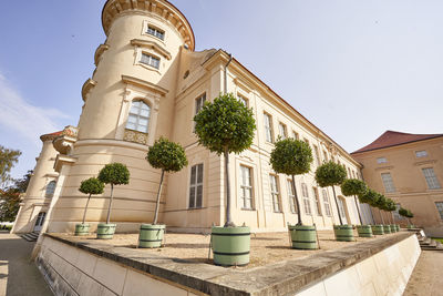 Low angle view of potted plants by building against sky