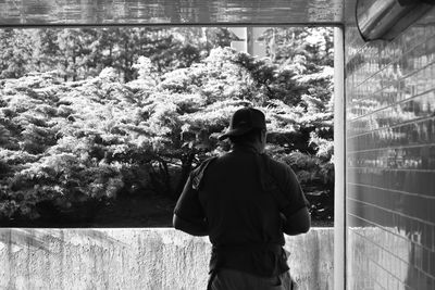 Rear view of woman looking through window