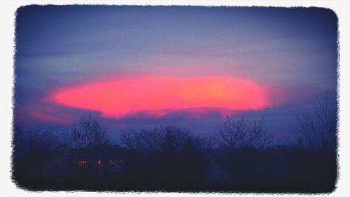 Silhouette of trees at sunset
