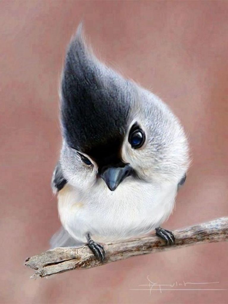 animal themes, one animal, animals in the wild, wildlife, bird, close-up, focus on foreground, perching, full length, wall - building feature, looking away, indoors, day, no people, front view, beak, animal head, sitting, side view