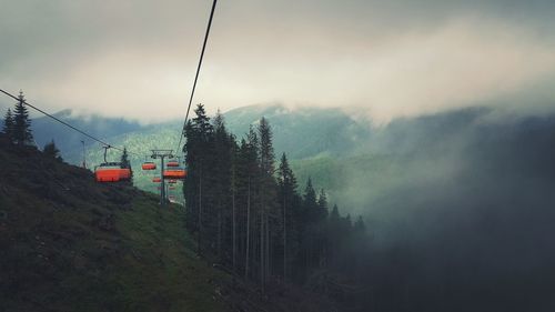 View of trees against cloudy sky