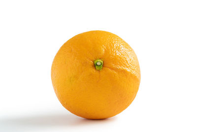 Close-up of orange against white background