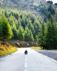 Person riding motorcycle on road