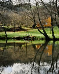 Scenic view of lake against bare trees