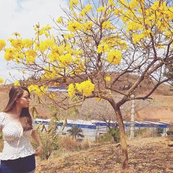 Woman standing by yellow flowering plants