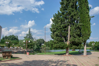 Trees in park against sky