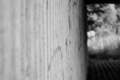 Close-up of wooden object