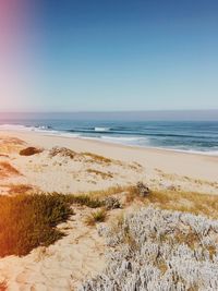 Scenic view of beach against clear sky