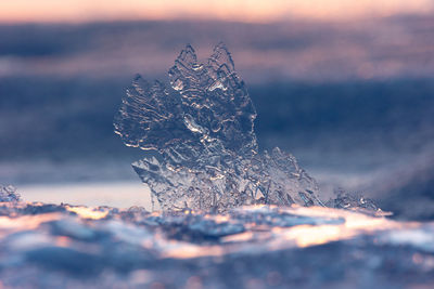 Gilded winter. translucent ice awakens in golden sunrise in northern europe