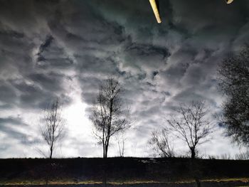 Low angle view of trees on field against sky