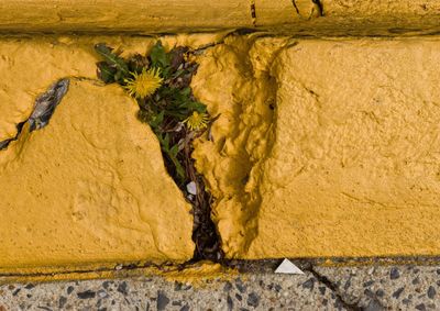 Close-up of yellow sand on beach