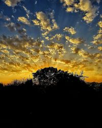 Low angle view of silhouette trees against sky at sunset