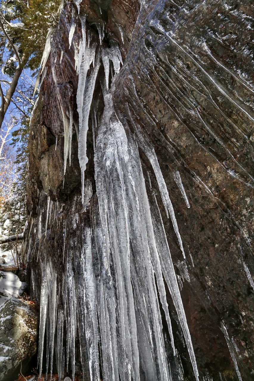 water, tree, nature, high angle view, beauty in nature, tranquility, growth, tree trunk, day, motion, outdoors, no people, reflection, river, scenics, waterfront, flowing water, winter, sunlight, forest