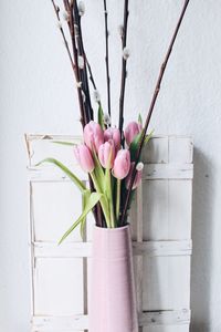 Tulips in vase against wall