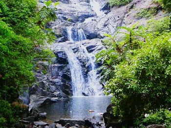 Scenic view of waterfall