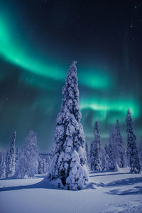 Scenic view of snow covered landscape against sky at night