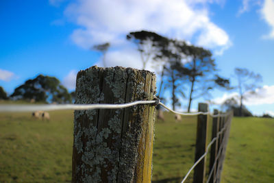 Close-up of wooden fence on field against sky