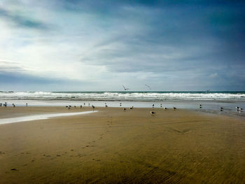 Scenic view of beach against sky