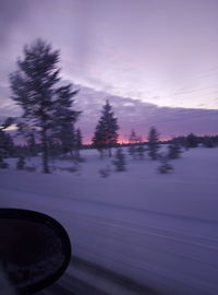 Scenic view of trees seen through car window during winter