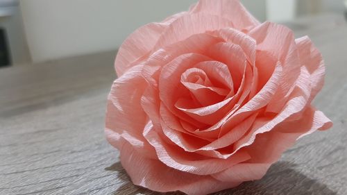 Close-up of rose on table
