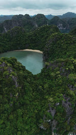 High angle view of trees and mountains against sky